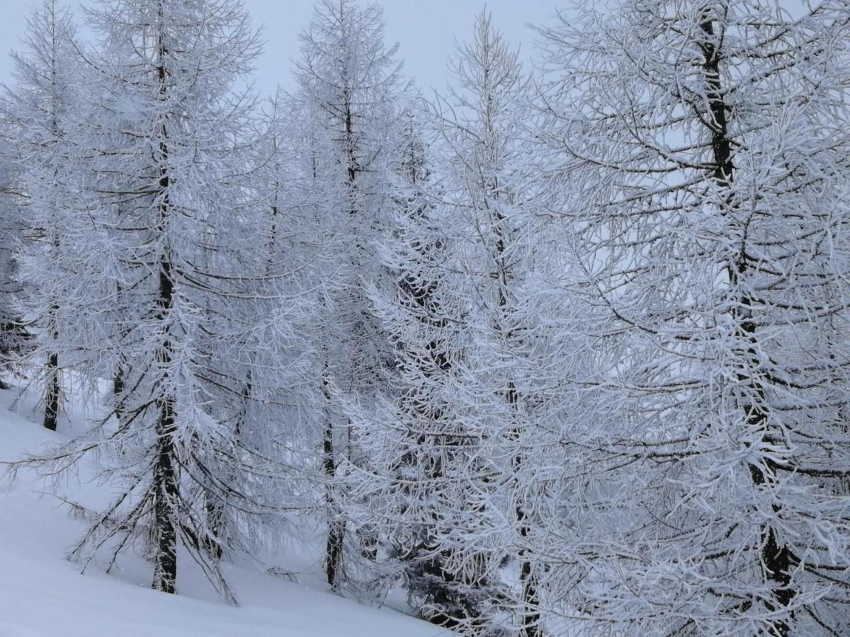 Hotel Dolomiti Левико Терме Екстериор снимка
